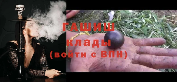 мдпв Богородск