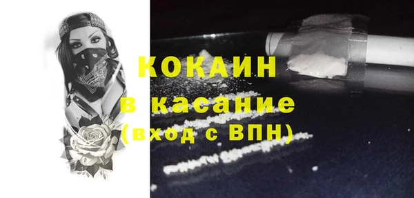спайс Богданович