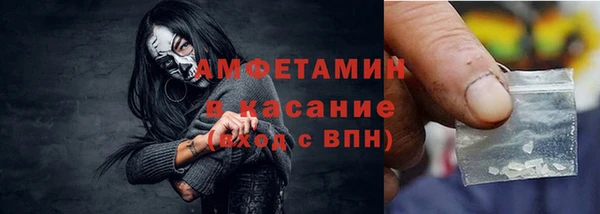спайс Богданович