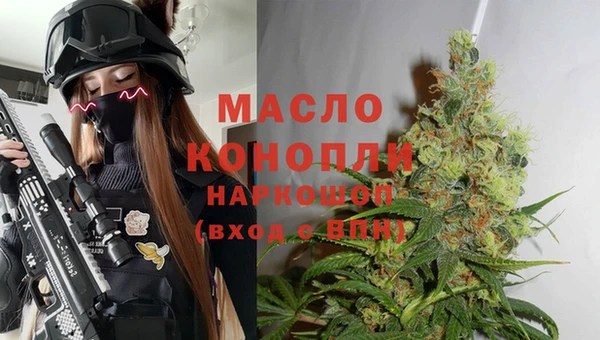 мдпв Богородск
