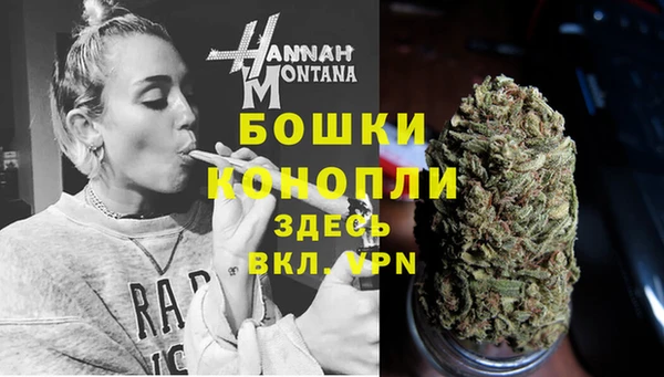 спайс Богданович