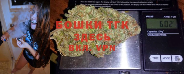 мдпв Богородск