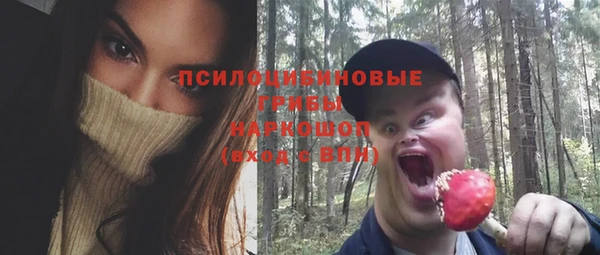 спайс Богданович