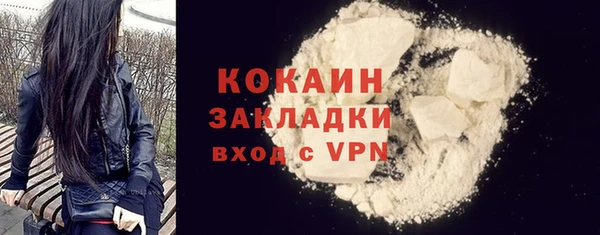 спайс Богданович