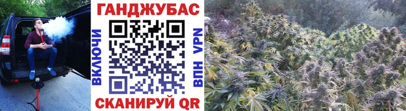 Бошки Шишки сатива Сызрань